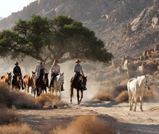Namibia-Namibia-Wild Horses Safari